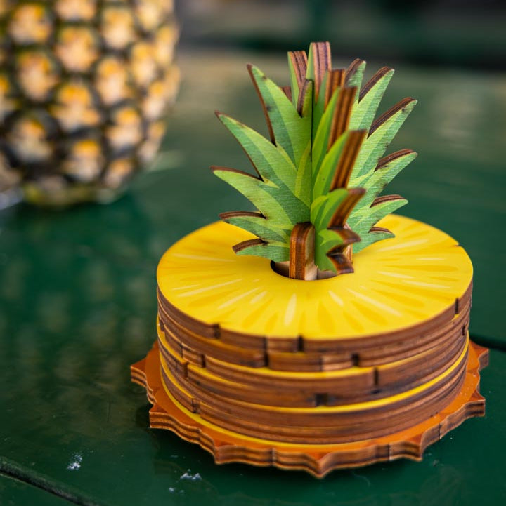PINEAPPLE COASTER SET