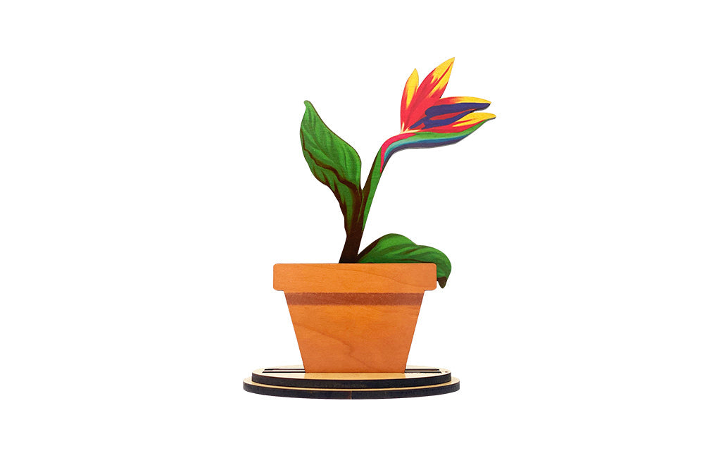 BIRD OF PARADISE MINI SET