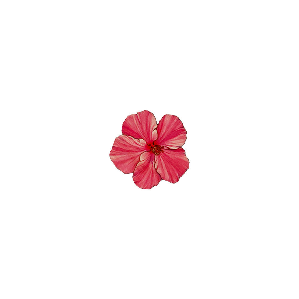 LBL-CW PINK HIBISCUS