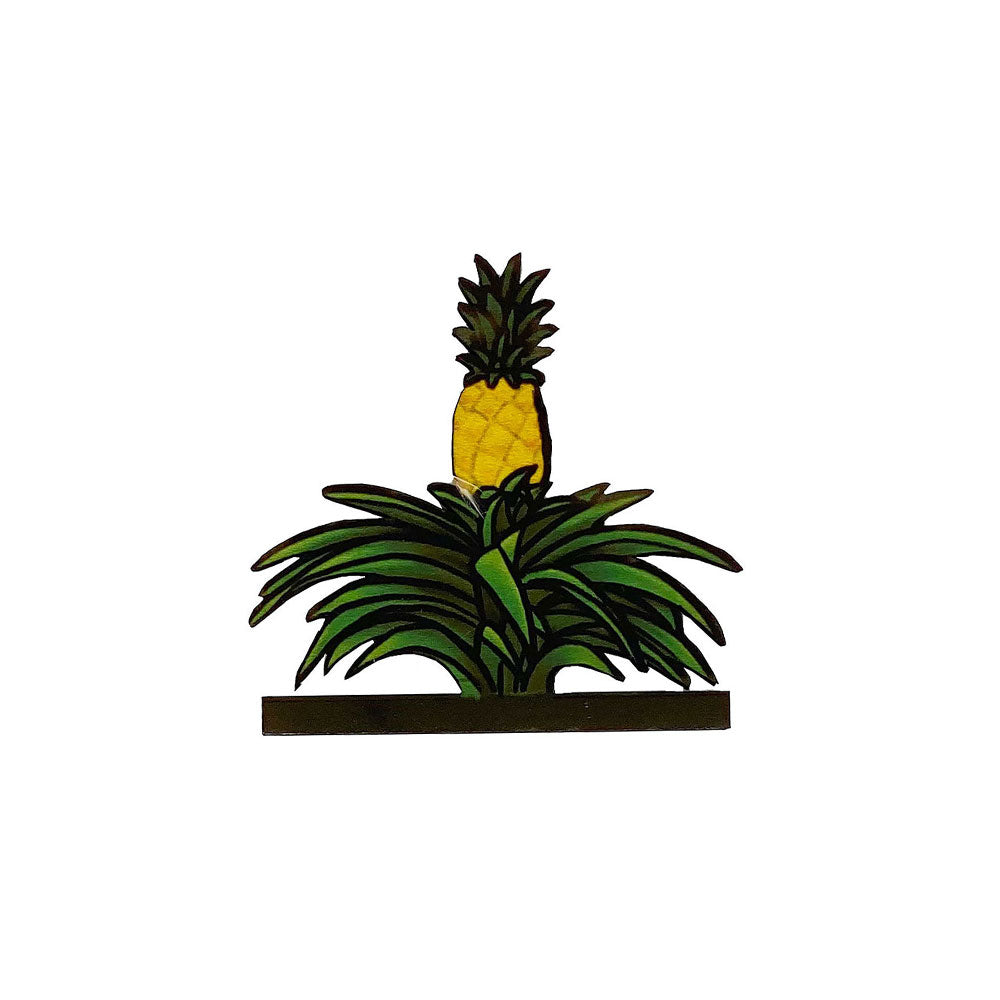 LBL-LG PINEAPPLE PLANT