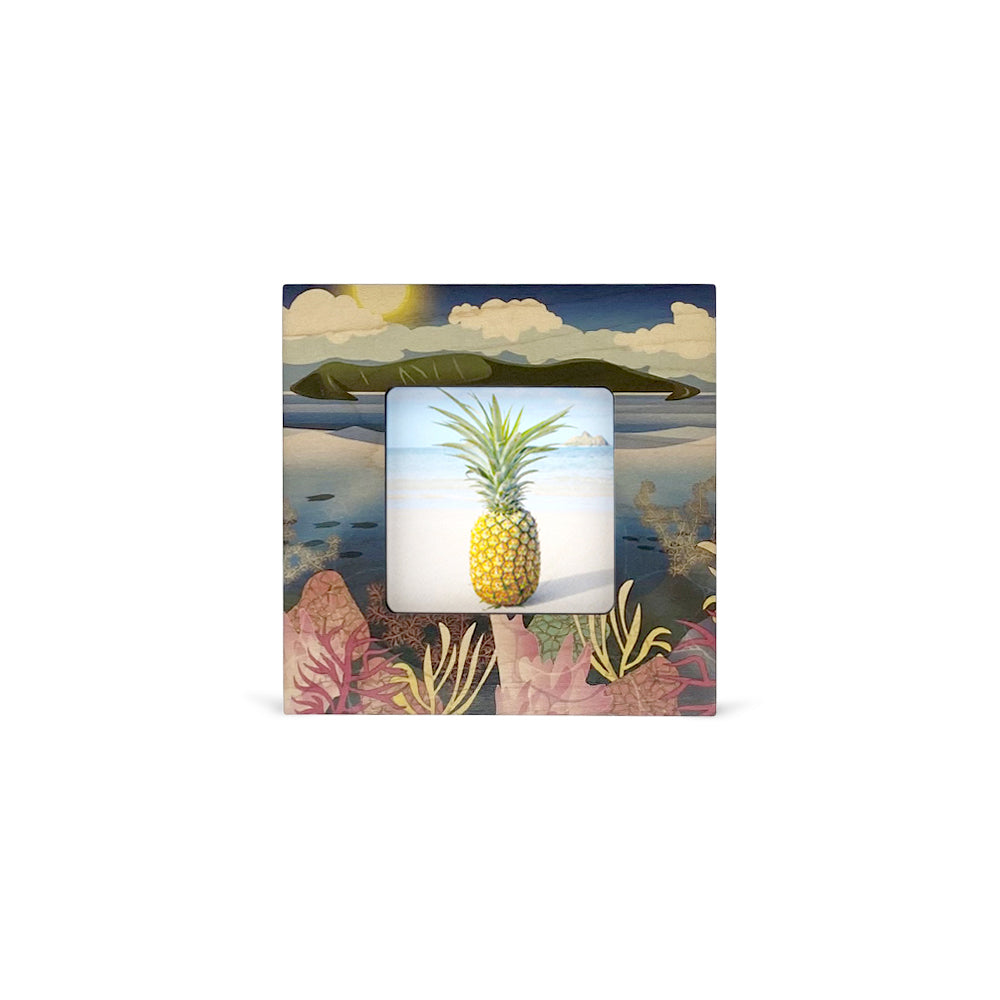 MOLOKINI ISLAND MINI FRAME