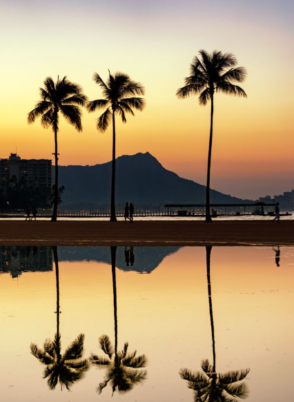 MORNING REFLECTIONS