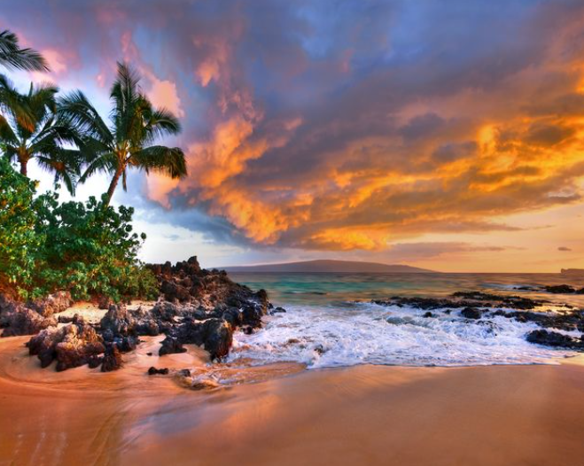 HIDDEN COVE