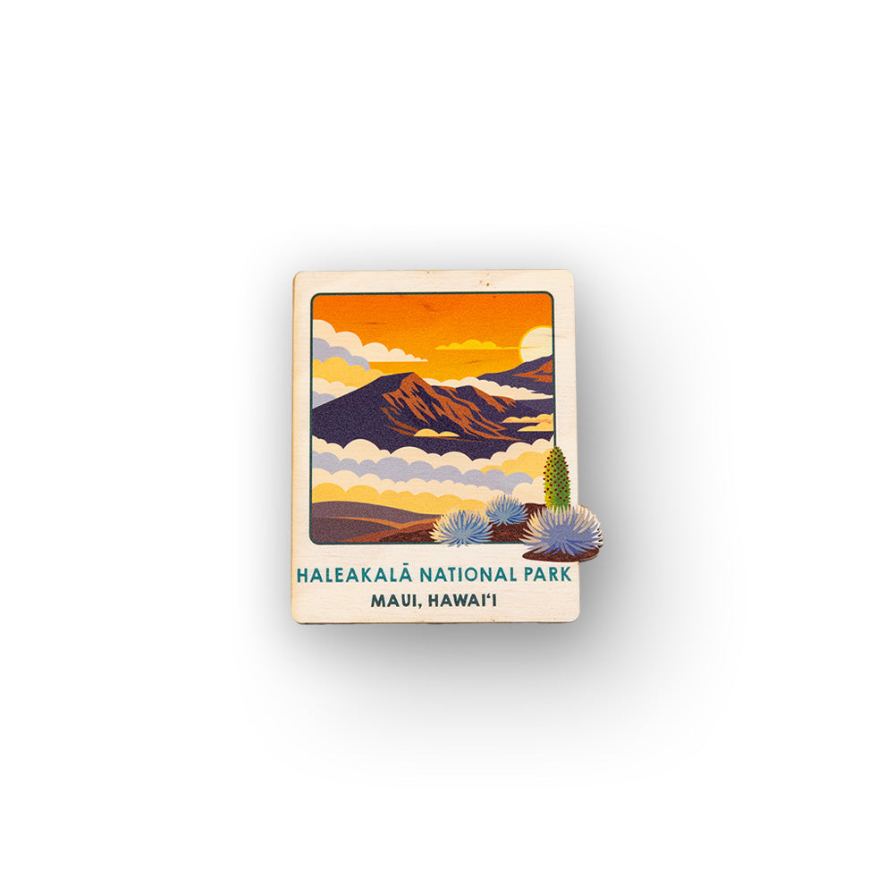 HALEAKALA POLAROID MAGNET