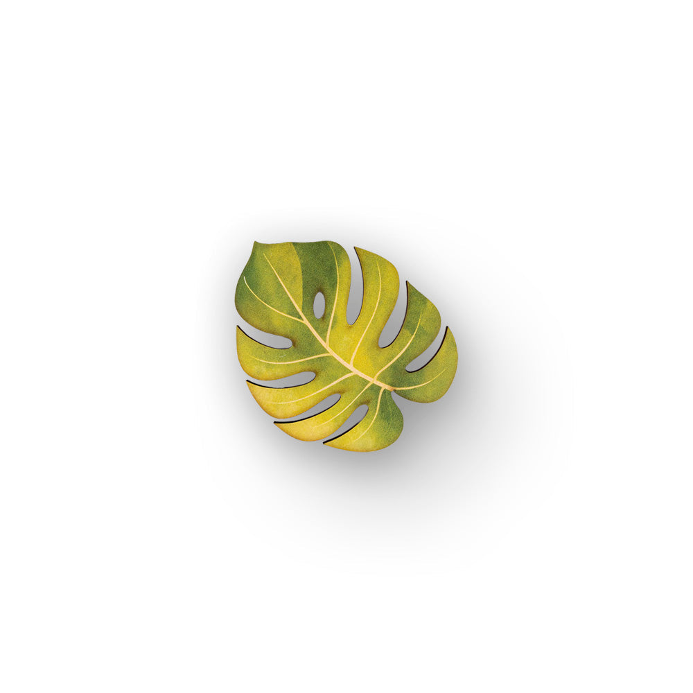 MONSTERA COASTER SET
