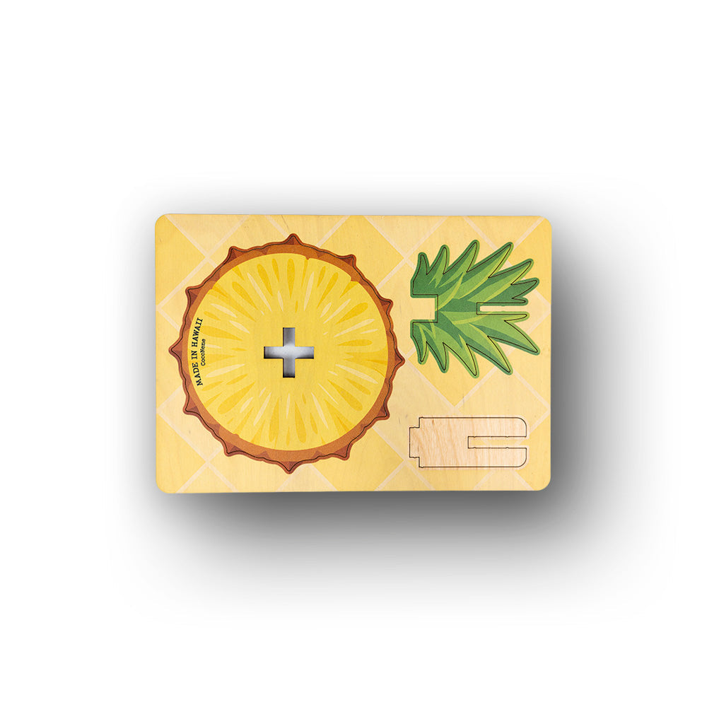 PINEAPPLE COASTER SET