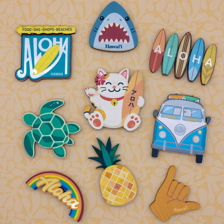 VAN MAGNET