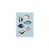 MOORE ALOHA ISLAND FISH 5X7 CARD