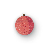 FRUIT MEDLEY COASTER SET