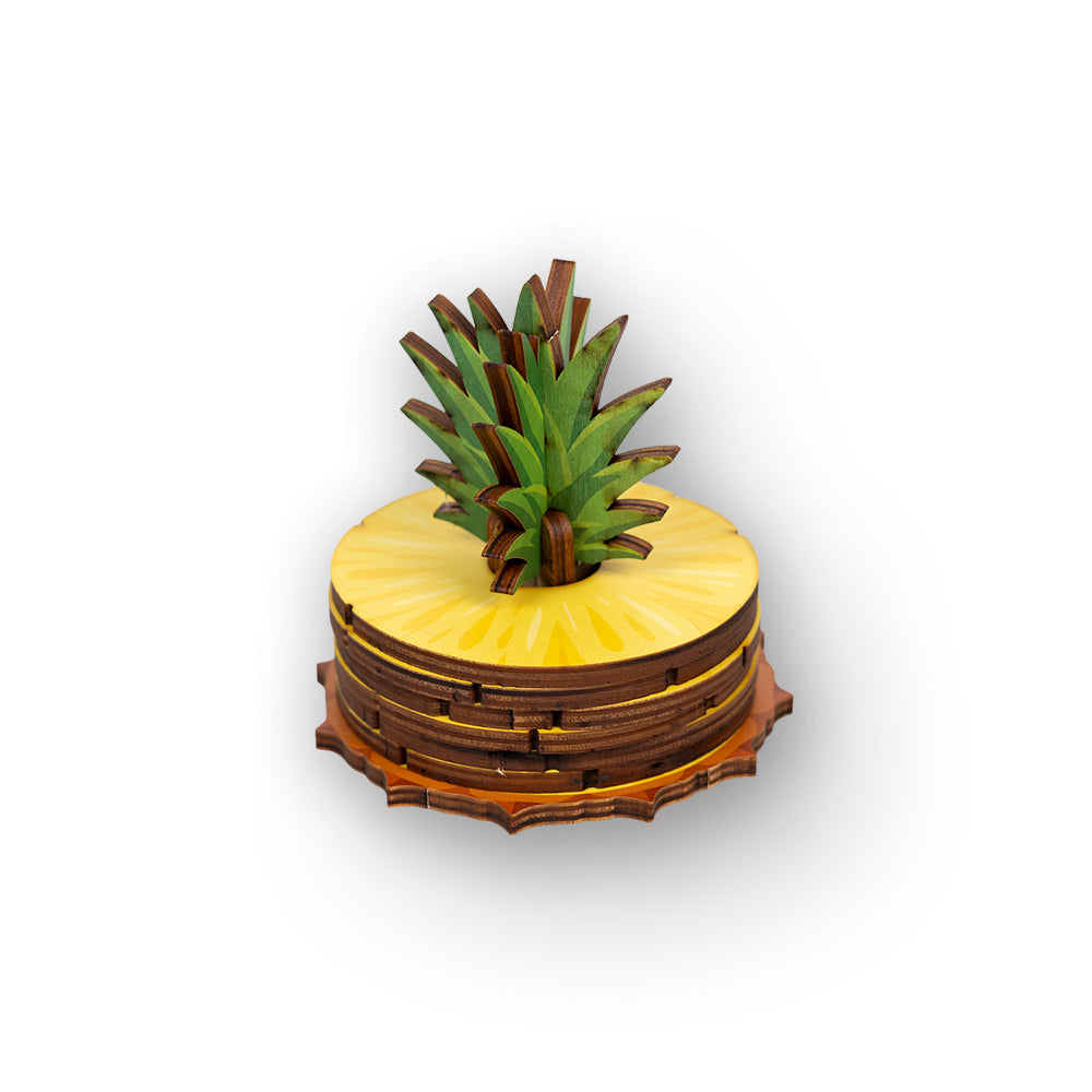 PINEAPPLE COASTER SET